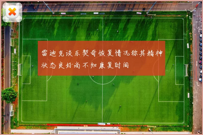 雷迪克谈东契奇恢复情况称其精神状态良好尚不知康复时间