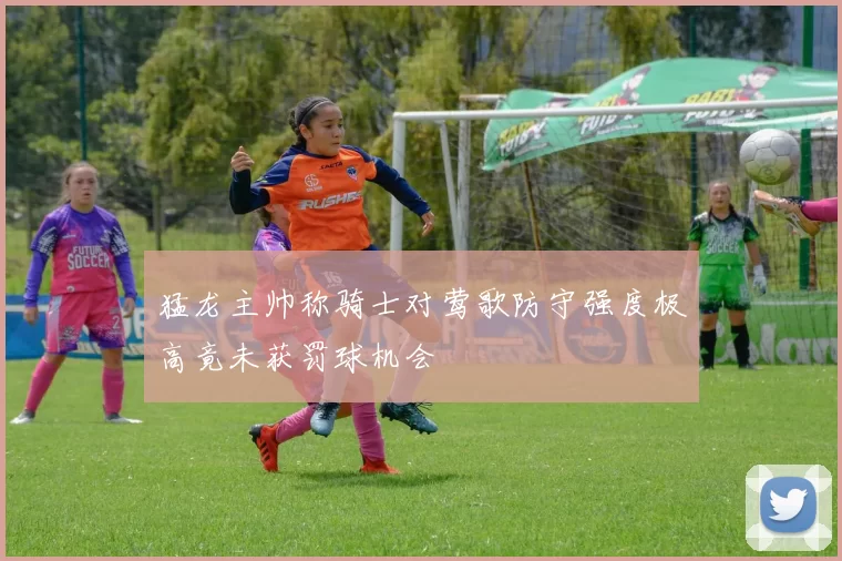 猛龙主帅称骑士对莺歌防守强度极高竟未获罚球机会